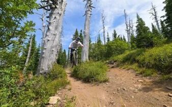 Cyklist tar sig nedför en smal, stenig stig i skogen