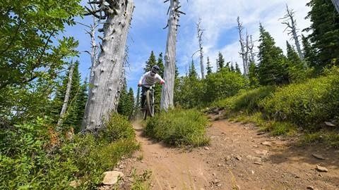 Cyklist tar sig nedför en smal, stenig stig i skogen